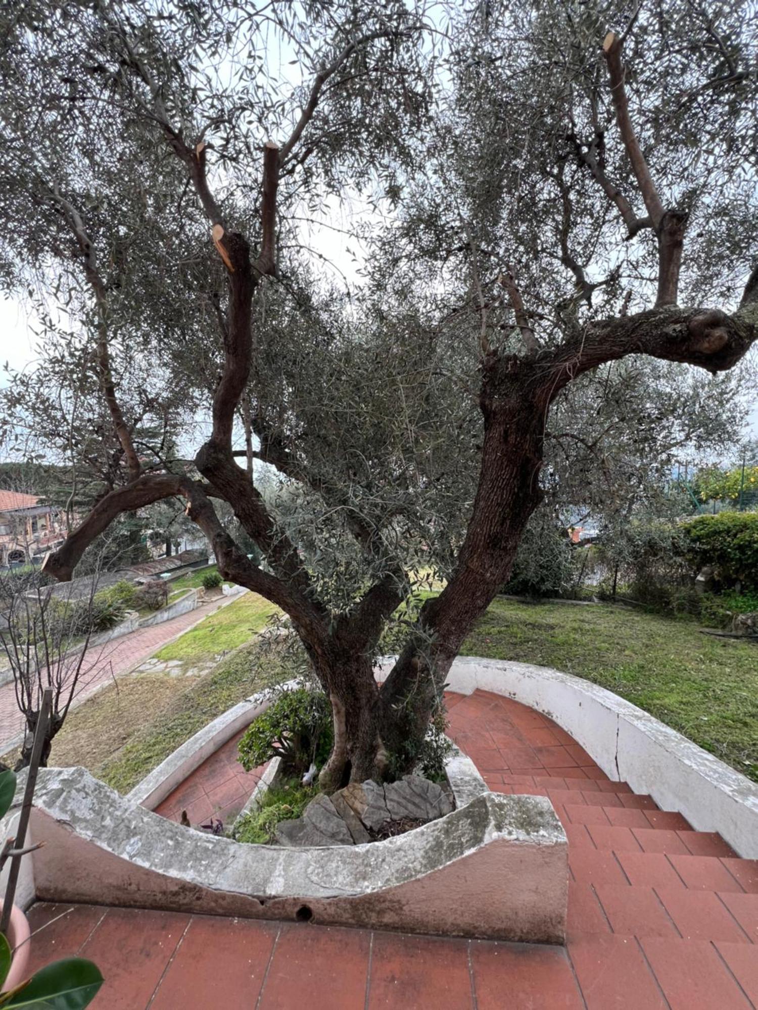 Villa In Collina Vista Mare San Remo Extérieur photo